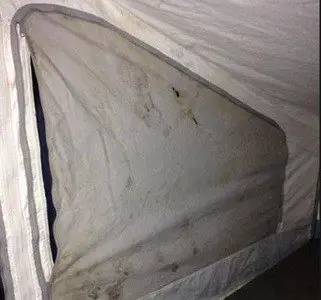 moldy tent