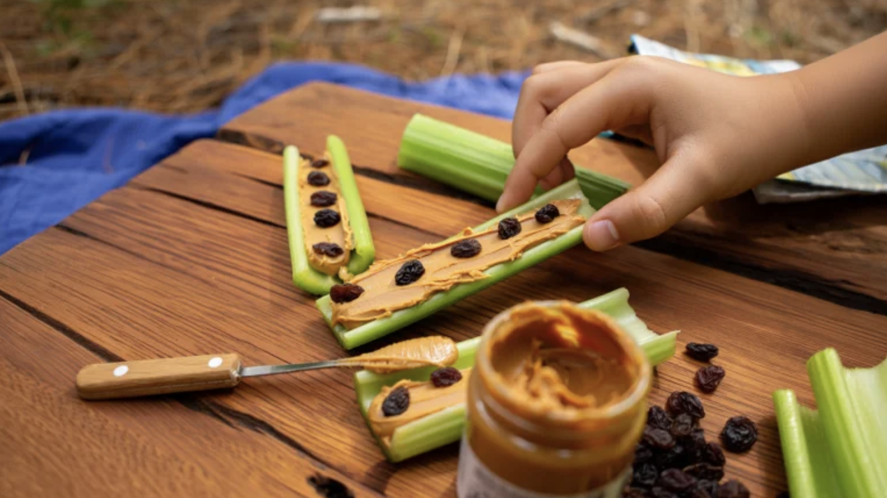 Ants_on_a_Log