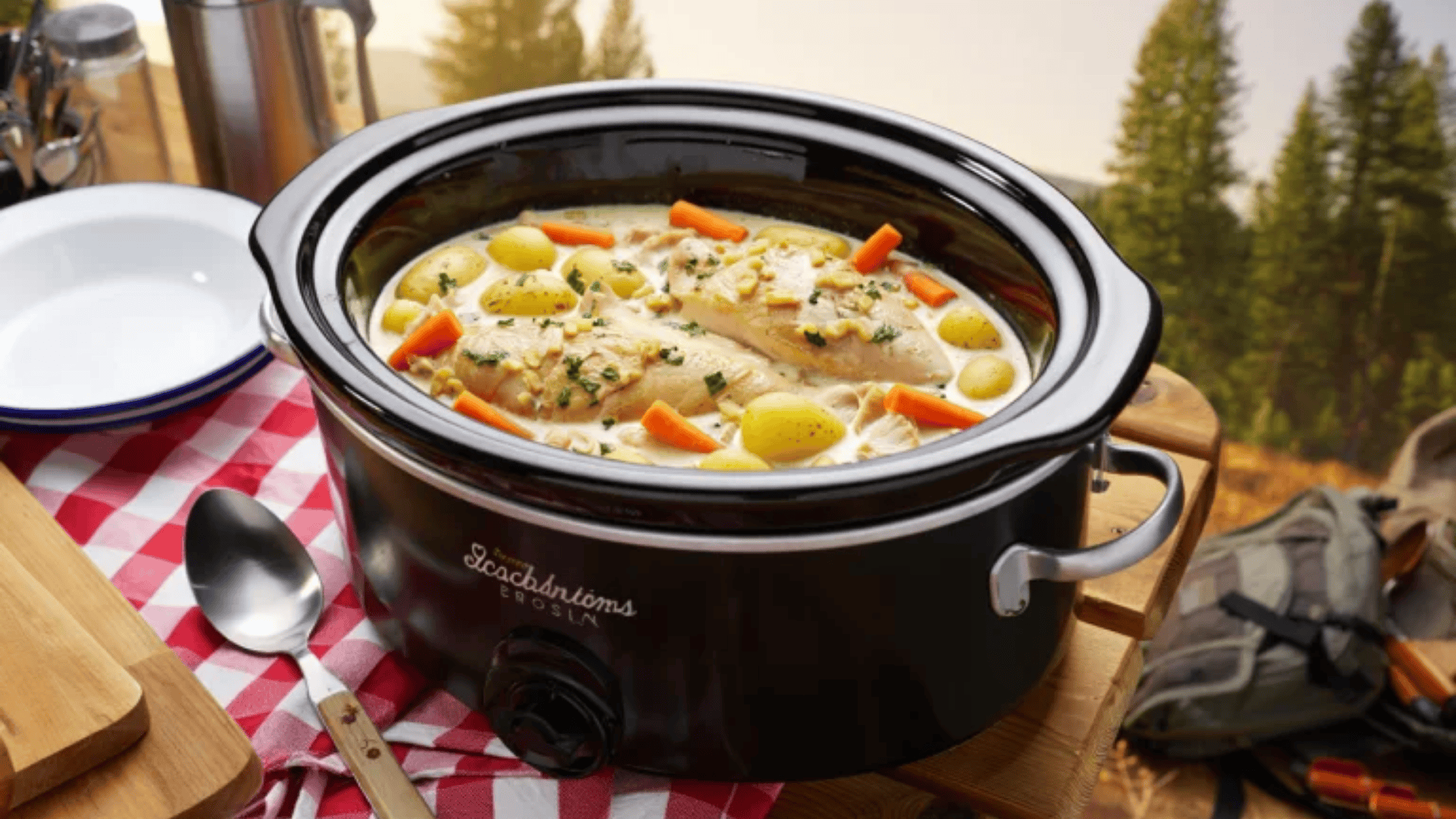 Slow_Cooker_Creamy_Garlic_Chicken_and_Veggies