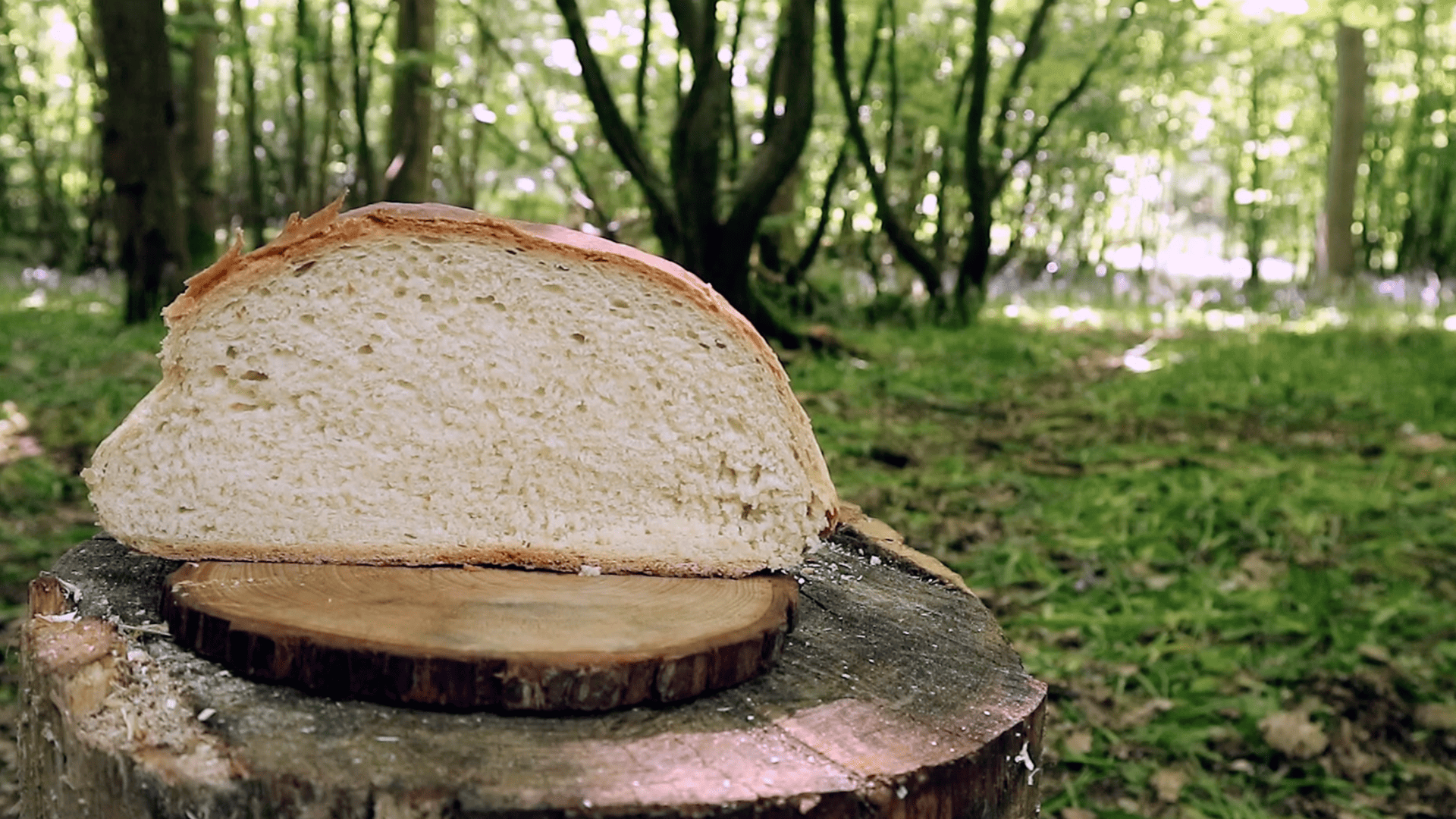 Step_5_Bake_the_Bread